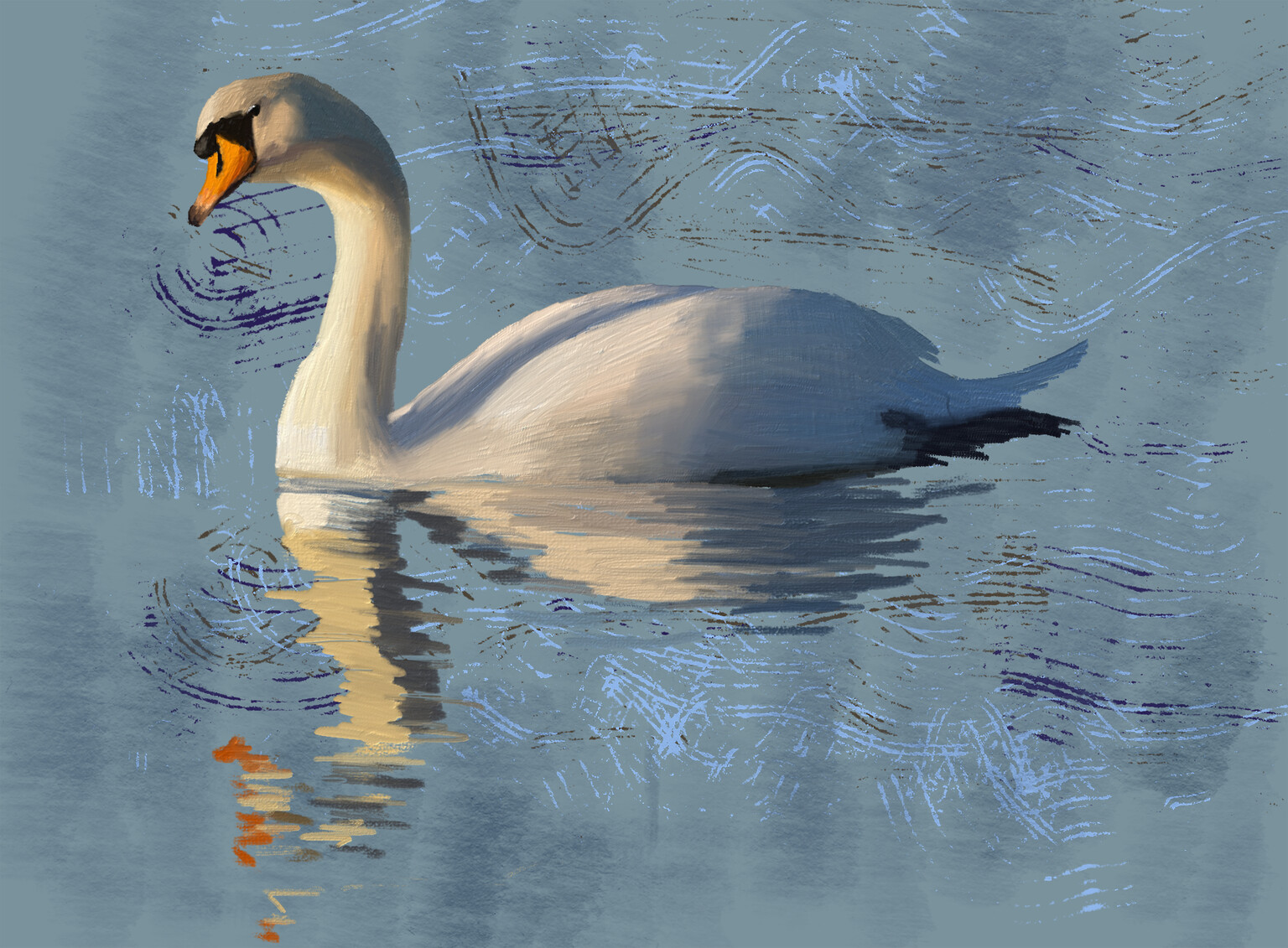 Mute swan